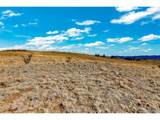 2892 Breton Cir - Photo 12