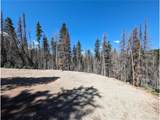 2767 Purnell Ln - Photo 4
