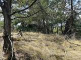 313 Arrastre Rd - Photo 10