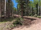 2904 Henderson Loop - Photo 3
