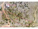 1713 Lost Angel Rd - Photo 3