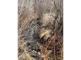 35395 Us Highway 24 - Photo 32