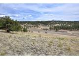 109 High Pasture Rd - Photo 3