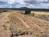 111 Black Elk Trail - Photo 12