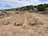 111 Black Elk Trail - Photo 13