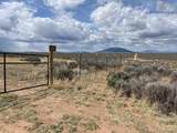 111 Black Elk Trail - Photo 2