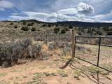 111 Black Elk Trail - Photo 3