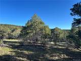 165 Silver Spurs Ranch - Photo 10