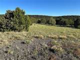 165 Silver Spurs Ranch - Photo 12