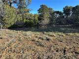 165 Silver Spurs Ranch - Photo 3