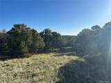 165 Silver Spurs Ranch - Photo 4