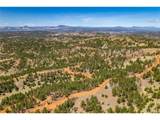  Brown Bear Dr - Photo 12