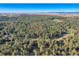856 Woodridge Rd - Photo 16