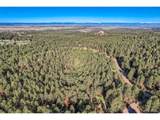 856 Woodridge Rd - Photo 18