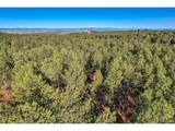 856 Woodridge Rd - Photo 20