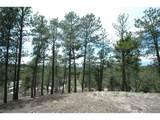 856 Woodridge Rd - Photo 24