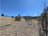2053 Badger Creek Rd - Photo 14
