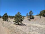 2053 Badger Creek Rd - Photo 5