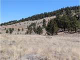 2053 Badger Creek Rd - Photo 9