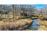 1102 Pinon Dr - Photo 3