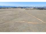 3179 Rhyolite Dr - Photo 4