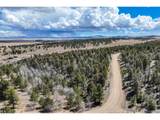 1430 Singletree Rd - Photo 1
