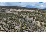 1430 Singletree Rd - Photo 11