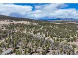 1430 Singletree Rd - Photo 12