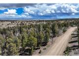 1430 Singletree Rd - Photo 3