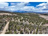 1430 Singletree Rd - Photo 7
