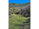 3465 134 County Rd - Photo 11