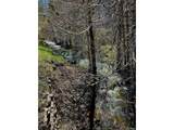 3465 134 County Rd - Photo 12