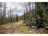  Tbd Forest Rd 503 - Photo 1