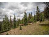  Tbd Forest Rd 503 - Photo 3