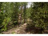 Tbd Forest Rd 503 - Photo 5