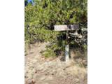 84 Victor Cir - Photo 4