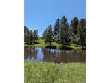 16660 Wild Horseshoe Vw - Photo 10