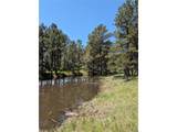 16660 Wild Horseshoe Vw - Photo 11