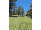 16660 Wild Horseshoe Vw - Photo 12