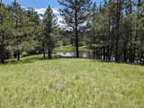 16660 Wild Horseshoe Vw - Photo 15