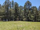 16660 Wild Horseshoe Vw - Photo 16