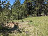 16660 Wild Horseshoe Vw - Photo 18