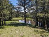 16660 Wild Horseshoe Vw - Photo 2