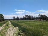 16660 Wild Horseshoe Vw - Photo 3