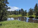 16660 Wild Horseshoe Vw - Photo 4