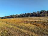 482 Oregon Trl - Photo 22