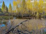 482 Oregon Trl - Photo 9