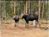 37 Sunshine Loop - Photo 6