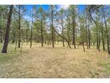 8395 Pine Cone Rd - Photo 10