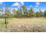 8395 Pine Cone Rd - Photo 11